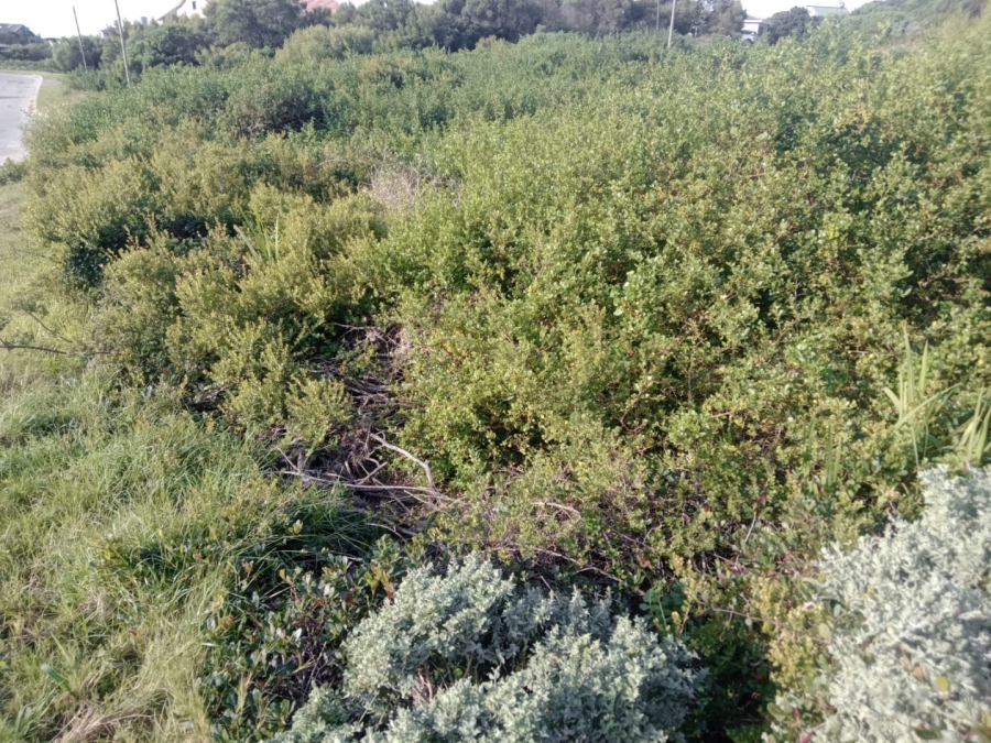 Commercial Property for Sale in Paradise Beach Eastern Cape